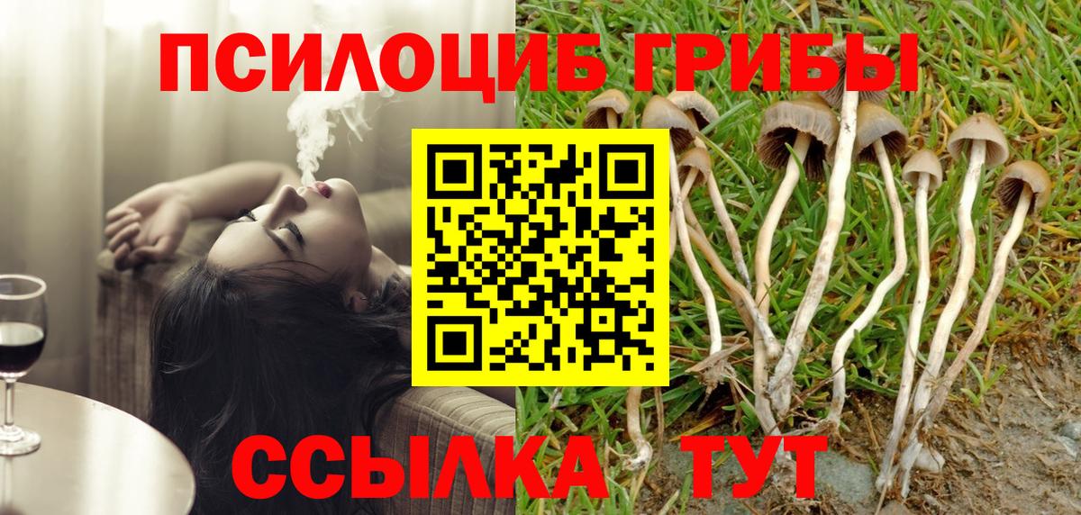 Псилоцибиновые грибы MAGIC MUSHROOMS Орёл