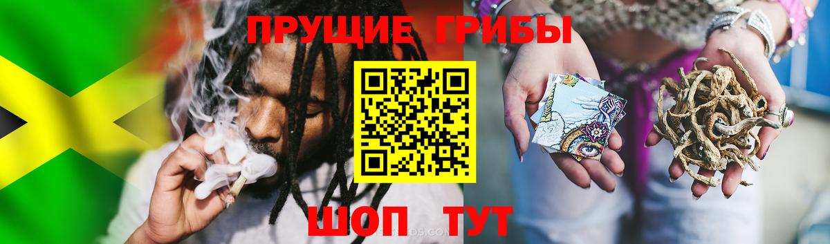 Галлюциногенные грибы Magic Shrooms  Псилоцибиновые грибы ЛСД  Вход с VPN  Орёл 